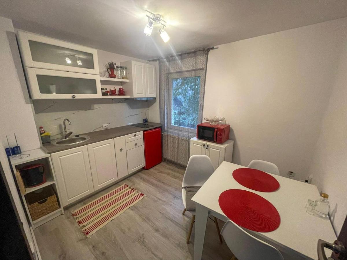 Buzz Apartment Cluj-Napoca Extérieur photo
